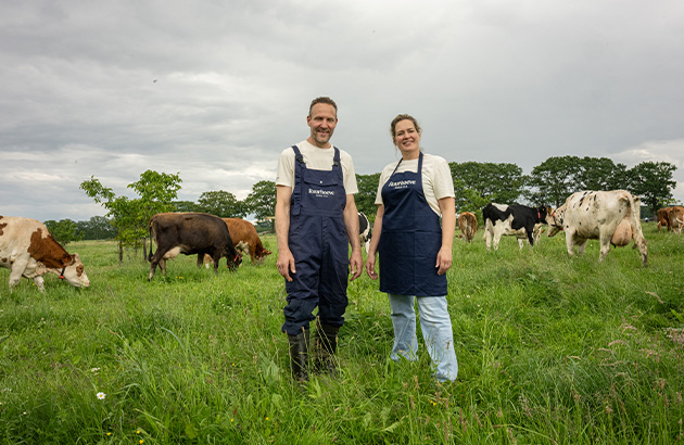 Corne en Erica boerderij weide met koeien