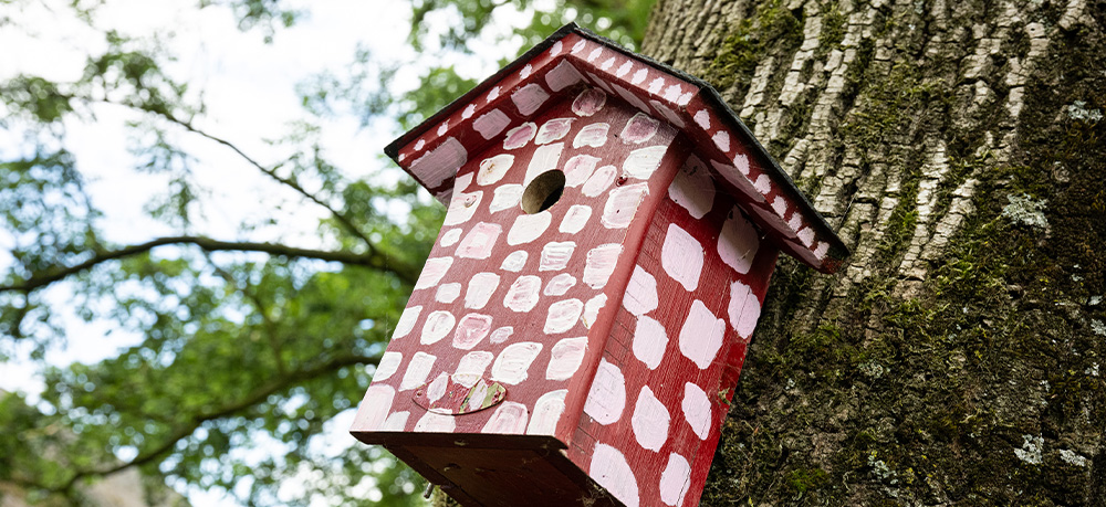 vogelhuisje aan boom